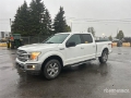 Fourgon utilitaire Ford F-150 XLT 4x4 Crew Cab Pickup — occasion 2020