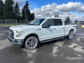 Fourgon utilitaire Ford F-150 XLT 4x4 Crew Cab Pickup — occasion 2016