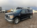 Fourgon utilitaire Ford F-150 XLT 4x4 Crew Cab Pickup — occasion 2021