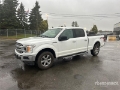 Fourgon utilitaire Ford F-150 XLT 4x4 Crew Cab Pickup — occasion 2020