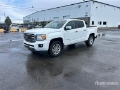Fourgon utilitaire GMC Canyon — occasion 2017