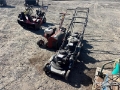 Quantity of (4) Push Mowers & (1) Bed Edger