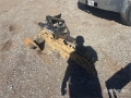 Trancheuse Blue Diamond 54 in Mini Skid Steer Trencher — occasion