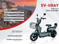 Quad EV-GRAY Scooter (Unused) — occasion 2026