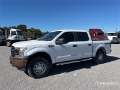 Fourgon utilitaire Ford F-150 4x4 Crew Cab Pickup — occasion 2019