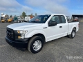 Fourgon utilitaire Ford F-150 — occasion 2017