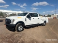 Utilitaire benne Ford F-250 — occasion 2019