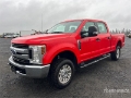 Fourgon utilitaire Ford F-250 STX 4x4 Crew Cab Pickup — occasion 2017