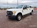 Fourgon utilitaire Ford F-250 XL 4x4 Crew Cab Pickup — occasion 2017