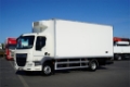 Camion frigorifique DAF LF / 260 / ACC / EURO 6 / CHŁODNIA + WINDA / 16 PA — occasion