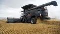 Moissonneuse-batteuse Massey Ferguson IDEAL 8T MED 35 FODS POWERFLOW SKÆREBORD! — occasion 2020, 550 h