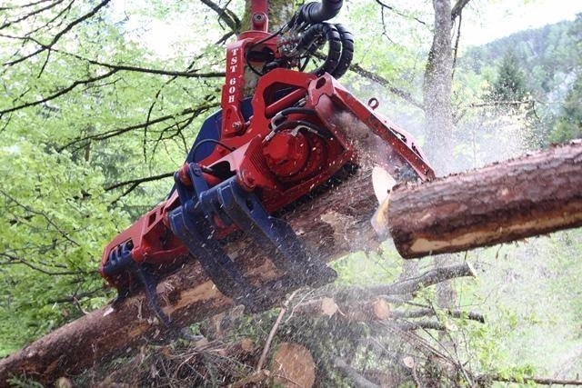 TST Harvester Head 60H Timbernator Cosechadoras