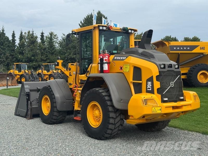 Volvo L 70 H Agriculture - Others