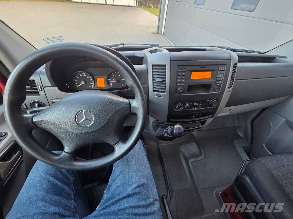 Ruthmann TBR 250 - Mercedes-Benz Sprinter 314 CDI Моторизирани платформи с талига