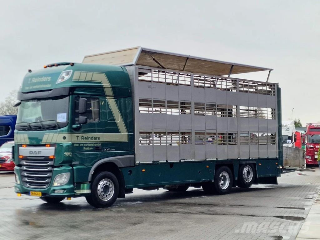 DAF XF 440 SuperSpaceCab 6x2*4 - Cuppers 1-2-3 deck Li Kamioni za transport stoke