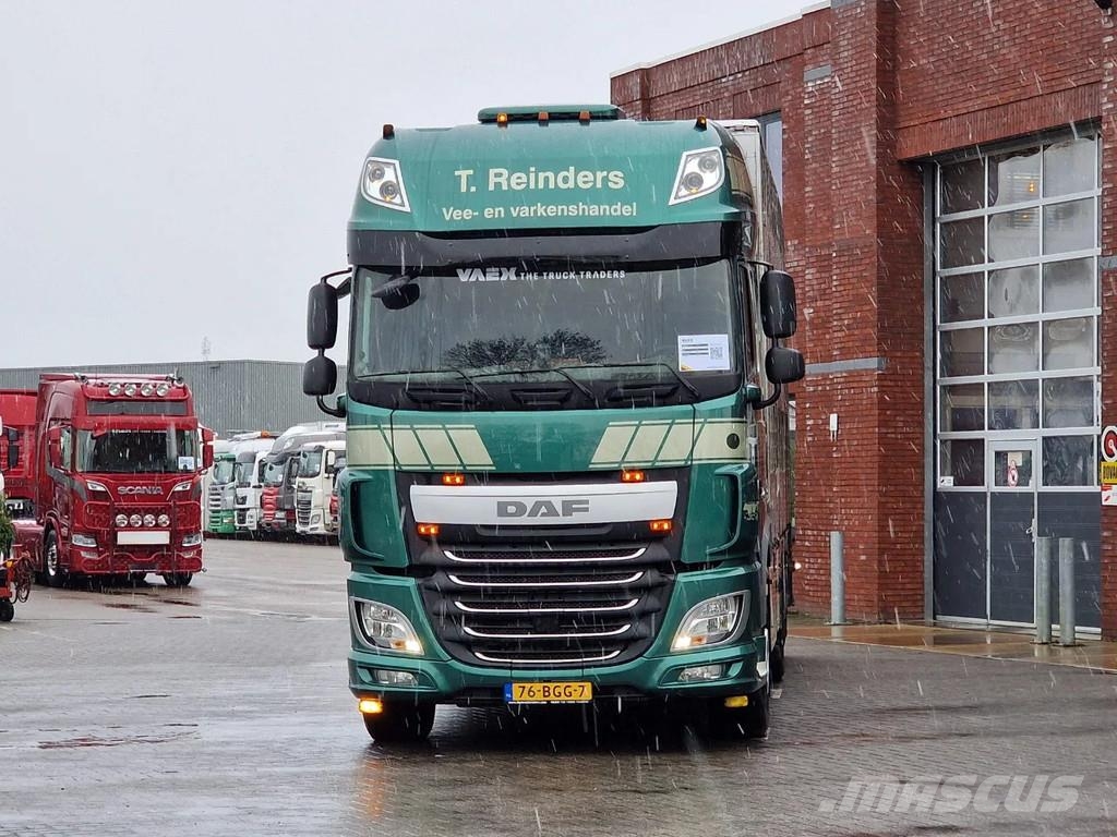 DAF XF 440 SuperSpaceCab 6x2*4 - Cuppers 1-2-3 deck Li Kamioni za transport stoke