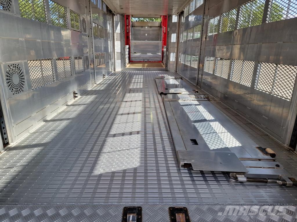 Volvo FH 13.500 6x2 - Livestock 4 deck Finkl + Finkl 4 d Dieren transport trucks