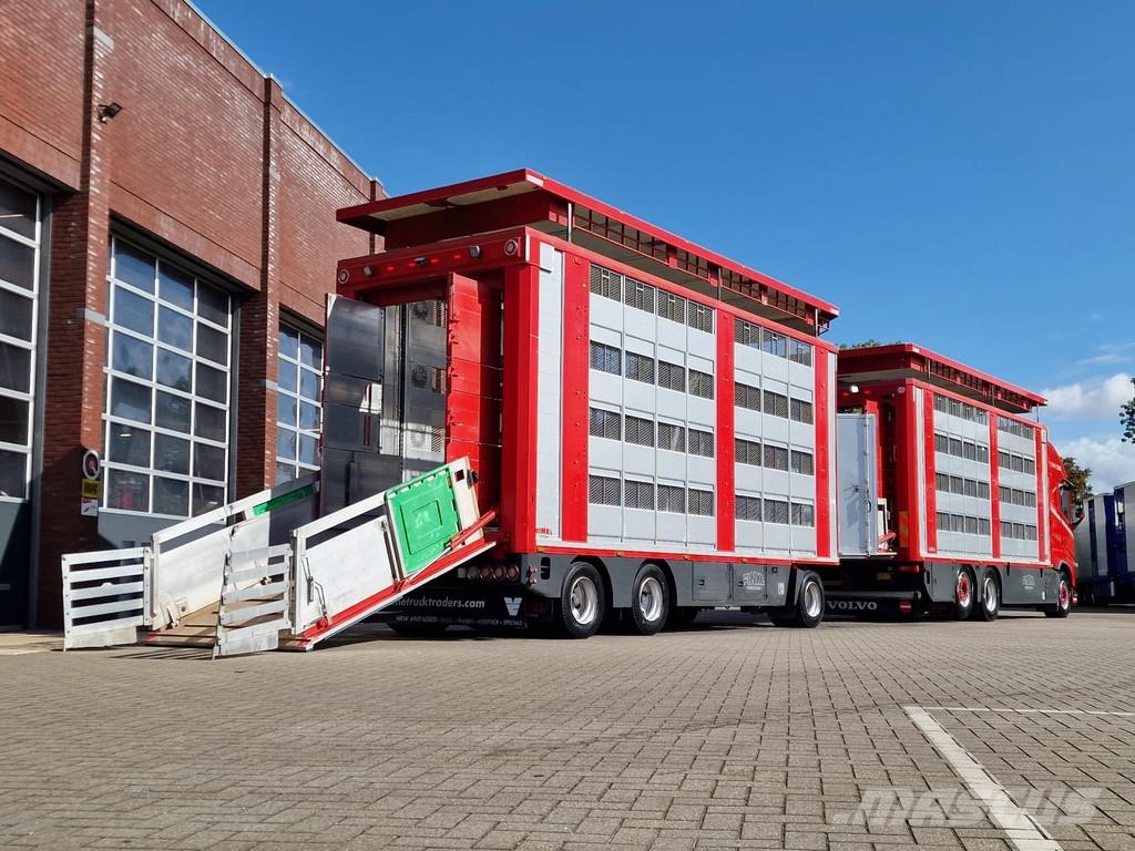 Volvo FH 13.500 6x2 - Livestock 4 deck Finkl + Finkl 4 d Dieren transport