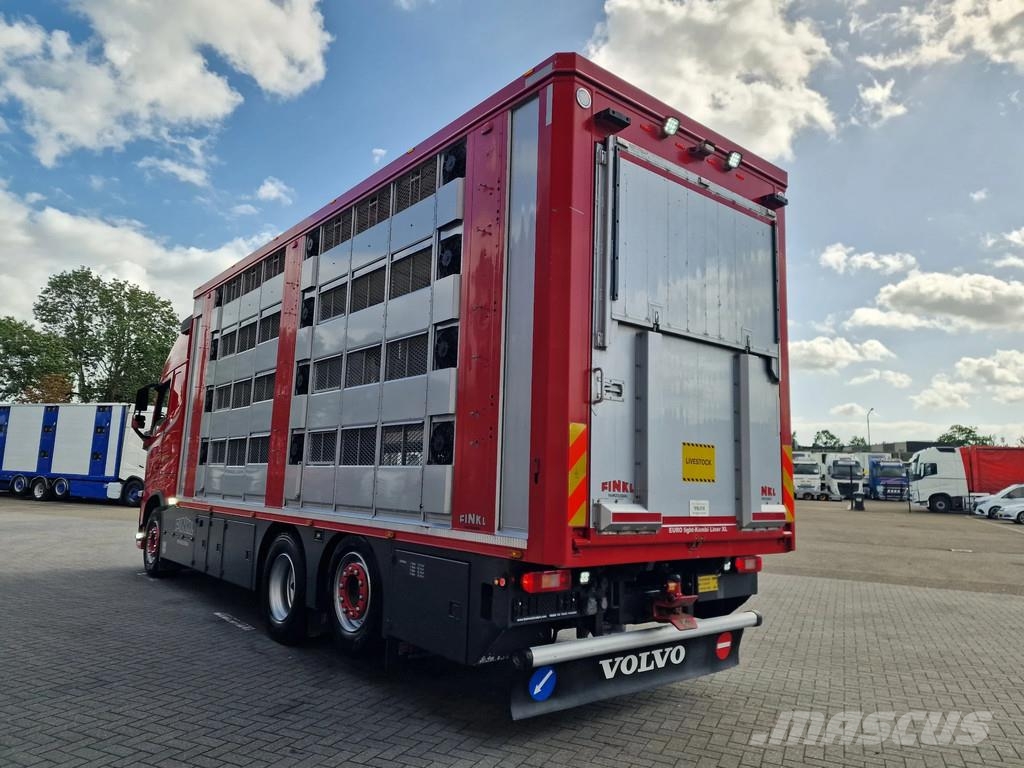 Volvo FH 13.500 6x2 - Livestock 4 deck Finkl + Finkl 4 d Dieren transport