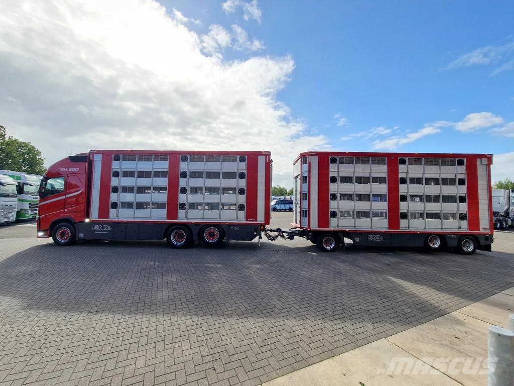 Volvo FH 13.500 6x2 - Livestock 4 deck Finkl + Finkl 4 d Dieren transport