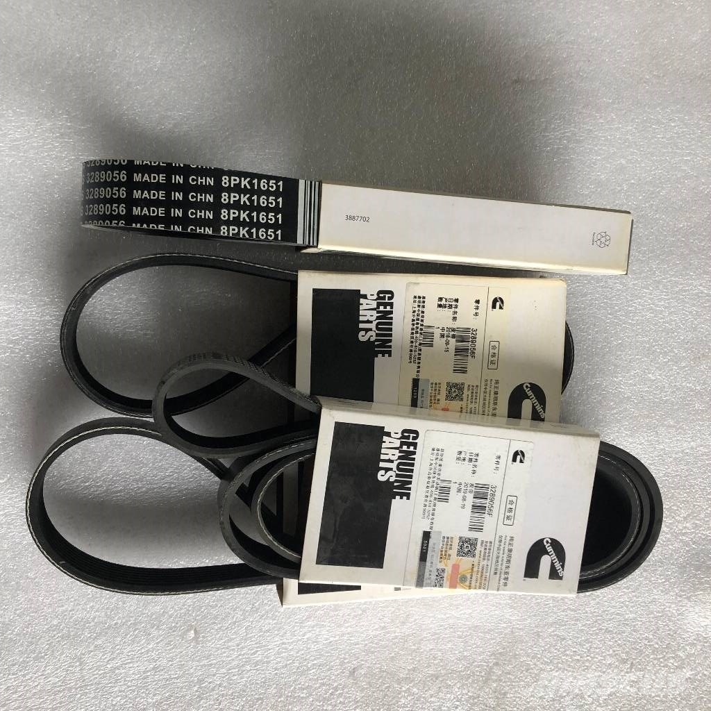 Cummins QSB5.9 Drive Belt 8PK1651 3911577 3289056 Motorer