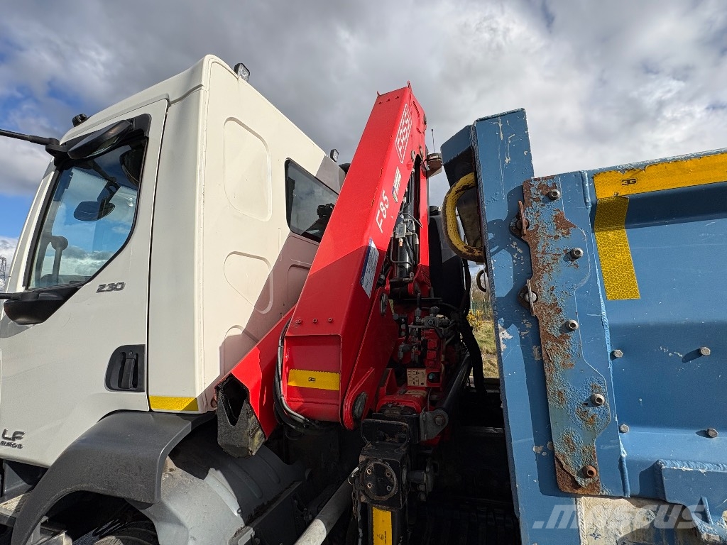 DAF LF 230 Camiones grúa