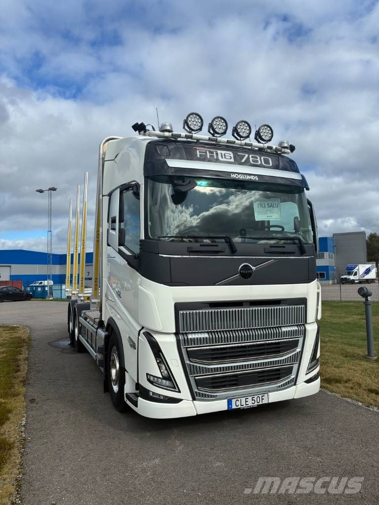 Volvo FH 16 780 Kamioni za drva Šticari