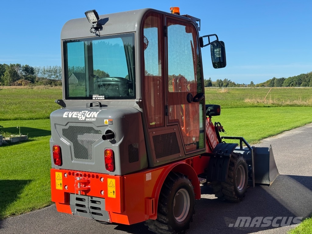 Everun ER 06 - 4x4 - Kubota 26hk - Steg5 Schrankladers