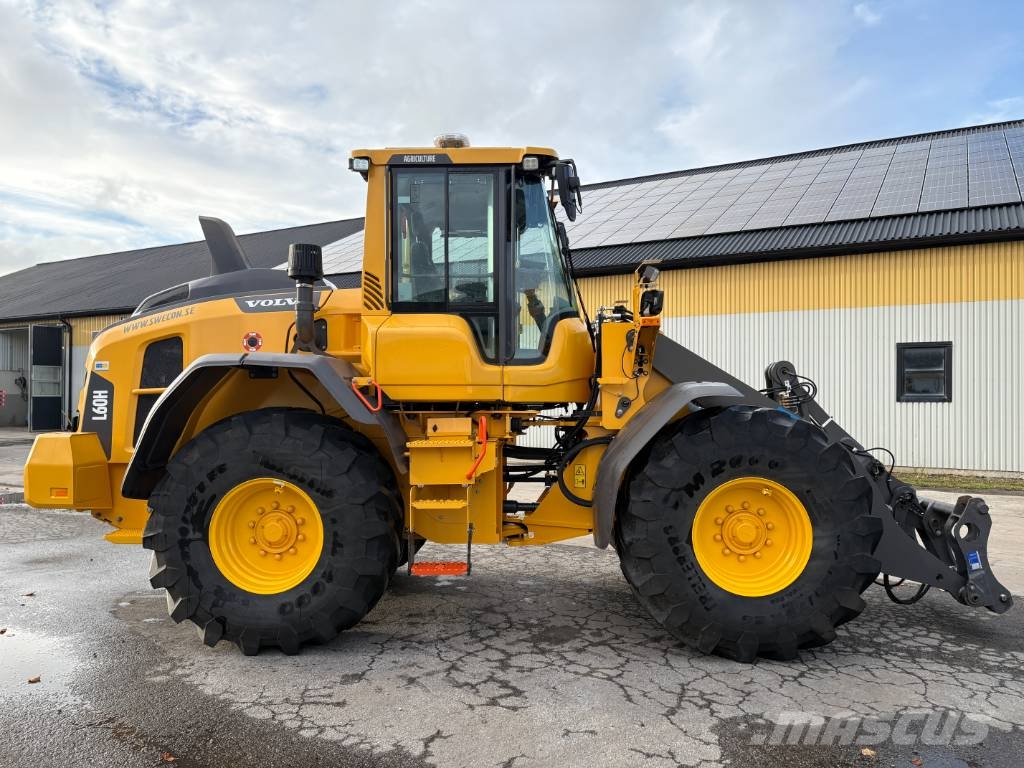 Volvo L60H lastmaskin, svensksåld, 900 tim Pale gommate