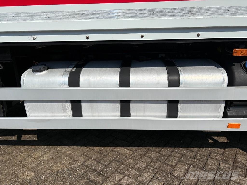 Renault Premium + DHOLLANDIA LOADLIFT + SMART TACHO + EURO Camiones con caja de remolque