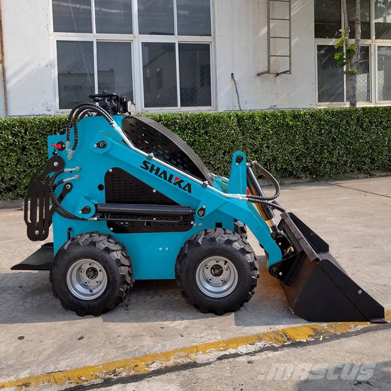 Shanding SDS360 Mini Pale Gommate