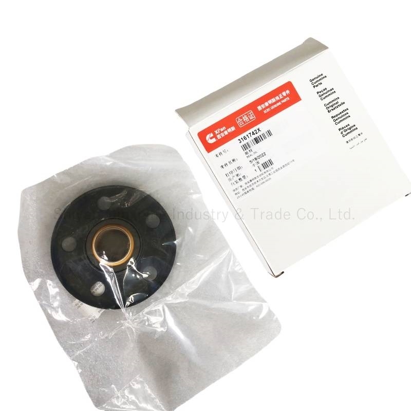 Cummins M11 Water Pump Oil Seal Kit 3161742 3161772 380389 Motorer