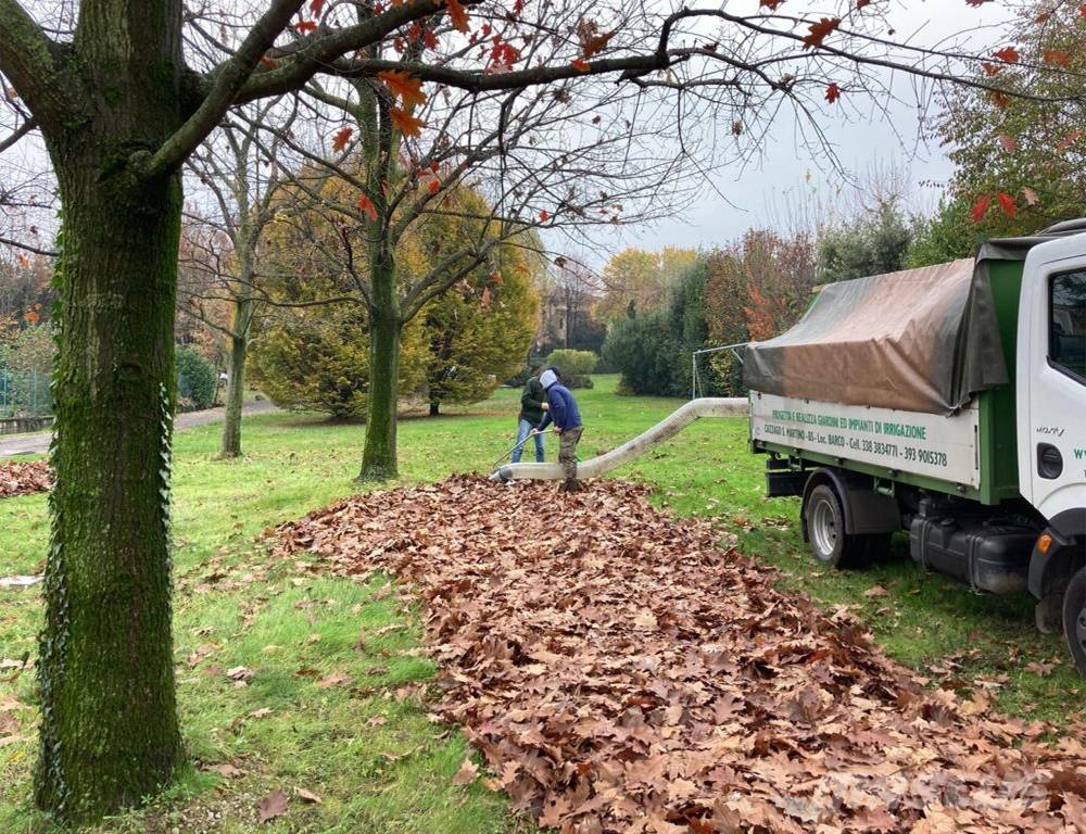 Peruzzo Vacuum and Leaves machine Hedge cutters