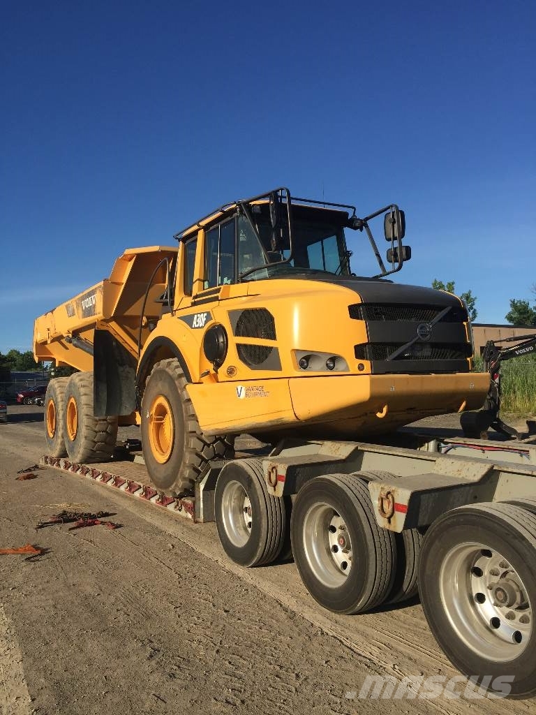 Volvo A 30 F Dumper - Knickgelenk