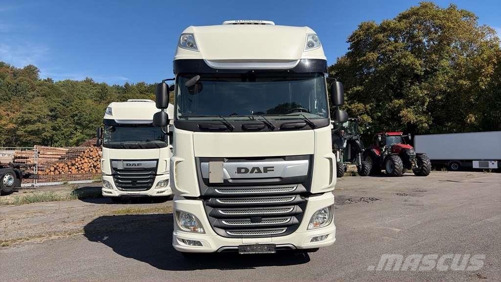 DAF XF480 BDF Wechselfahrgestell