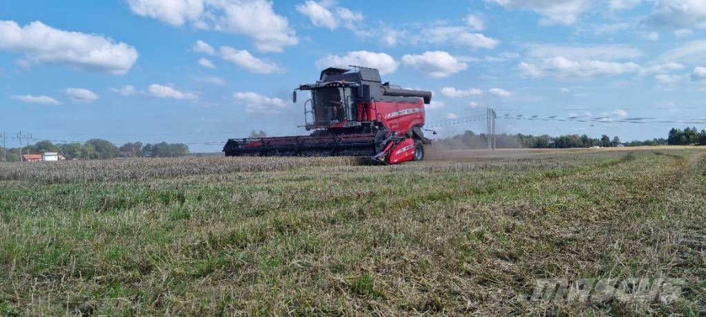 Massey Ferguson Beta 7370 Kombajny zbożowe