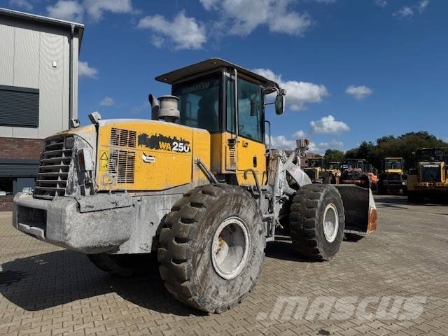 Komatsu WA 250-5 Kolesové nakladače