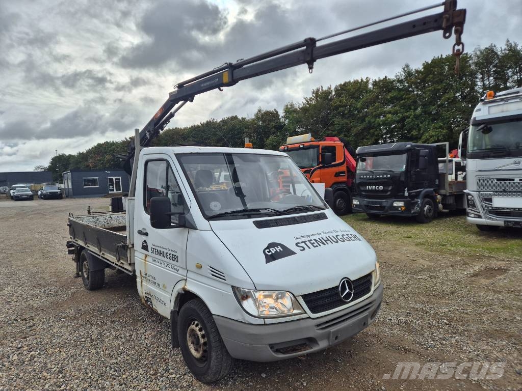 Mercedes-Benz Sprinter 313 CDI - PM Crane Varevogne