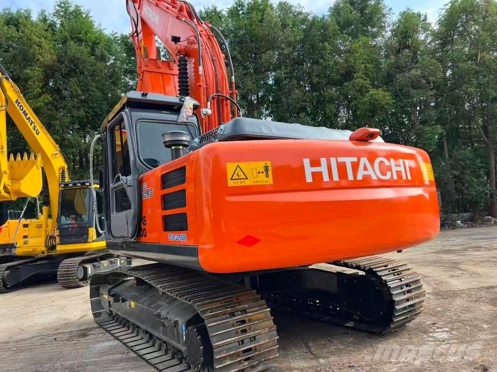 とうふ苗木 Amazon.com : 10 Seeds Japanese Grey Bark Elm Tree | Zelkova