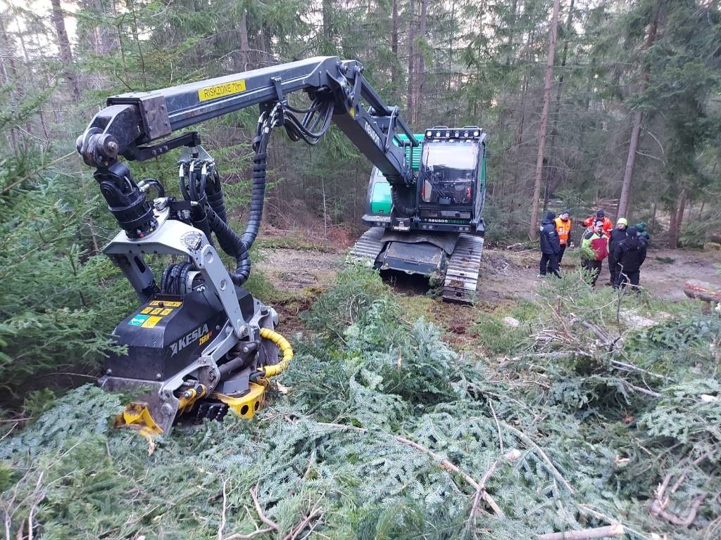 Neuson Forest 204HVT Harwestery