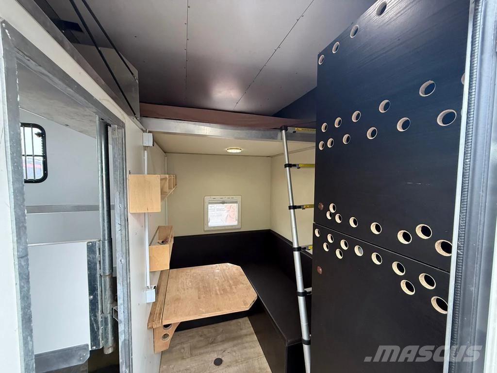 MAN | Horse Truck | Year: 2011 | KM: 312.257 | 5 Horse Tiertransporter