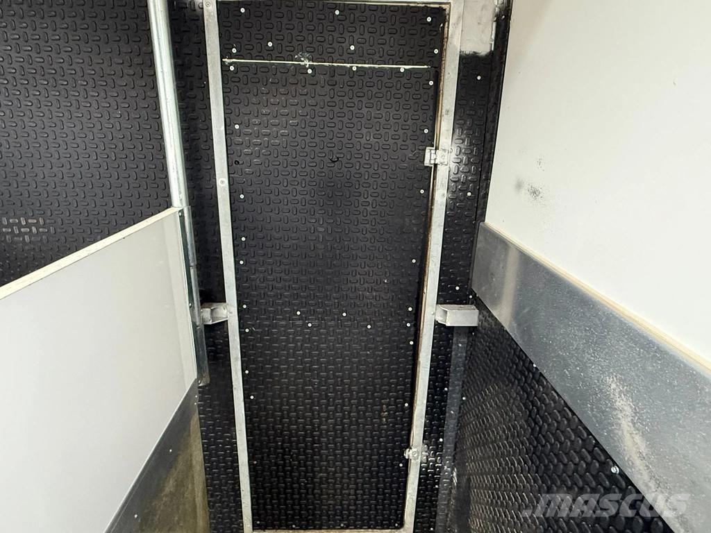MAN | Horse Truck | Year: 2011 | KM: 312.257 | 5 Horse Tiertransporter