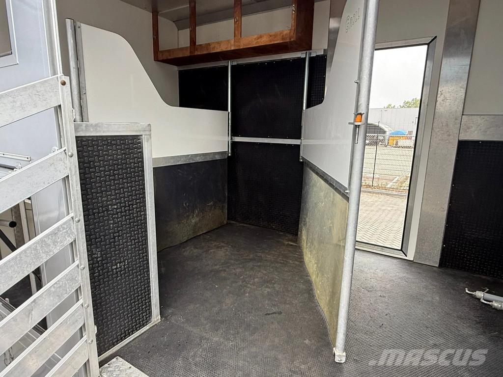 MAN | Horse Truck | Year: 2011 | KM: 312.257 | 5 Horse Tiertransporter