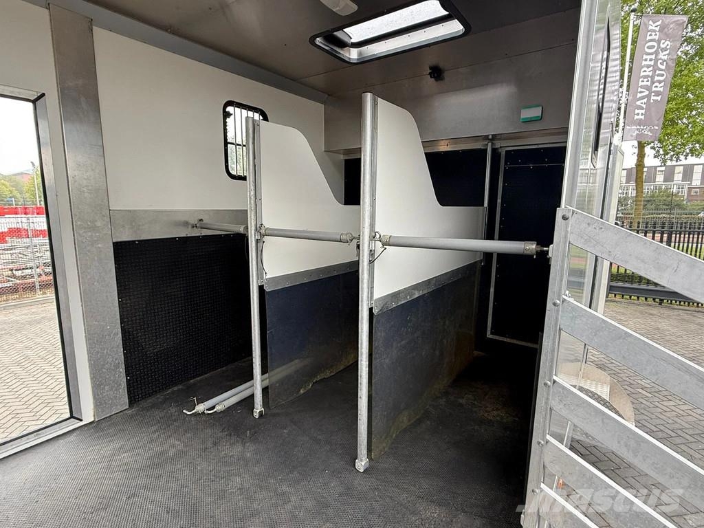 MAN | Horse Truck | Year: 2011 | KM: 312.257 | 5 Horse Tiertransporter