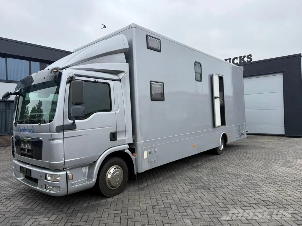 MAN | Horse Truck | Year: 2011 | KM: 312.257 | 5 Horse Tiertransporter
