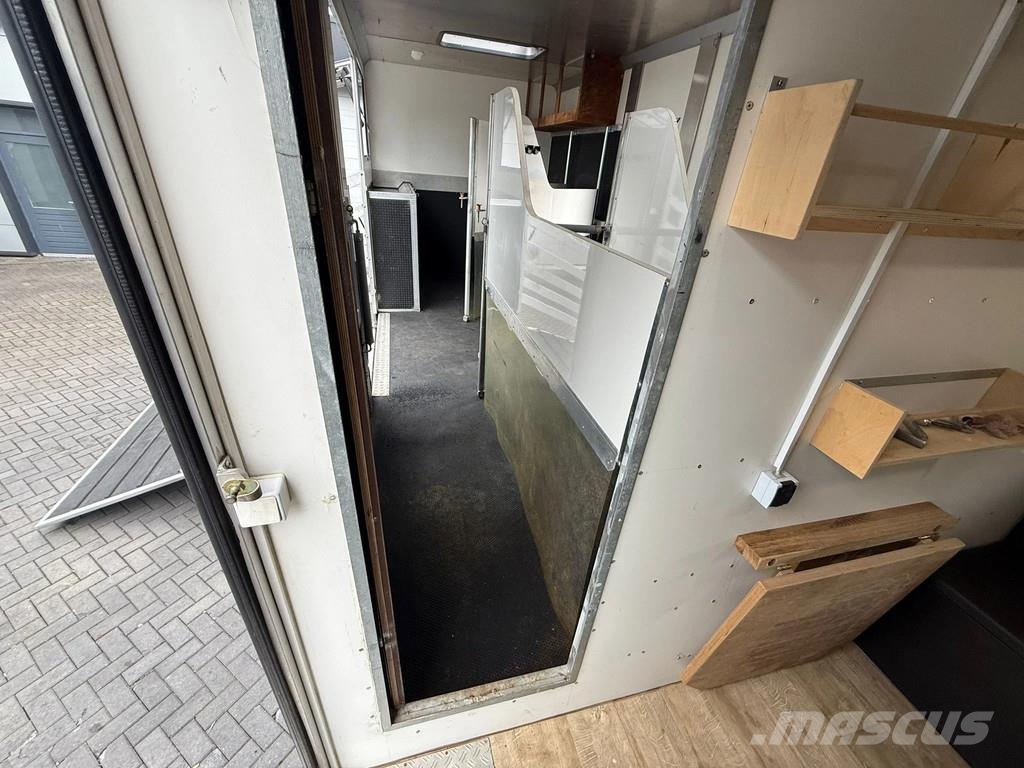 MAN | Horse Truck | Year: 2011 | KM: 312.257 | 5 Horse Tiertransporter