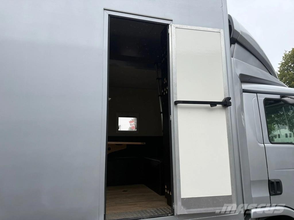 MAN | Horse Truck | Year: 2011 | KM: 312.257 | 5 Horse Tiertransporter