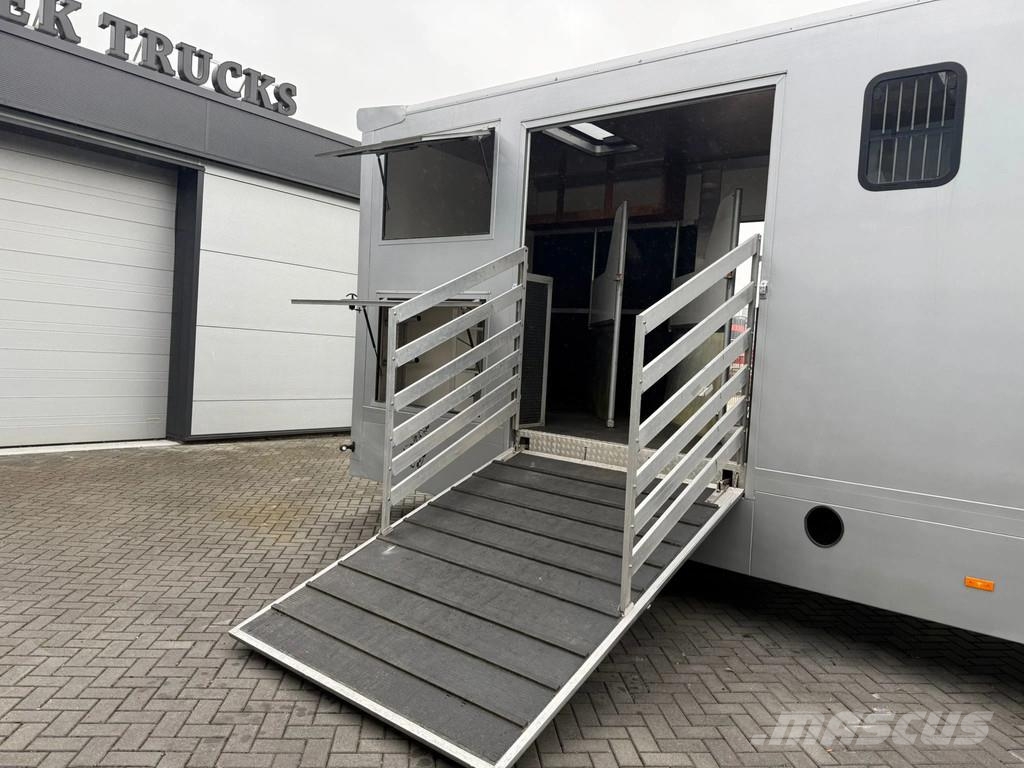 MAN | Horse Truck | Year: 2011 | KM: 312.257 | 5 Horse Tiertransporter