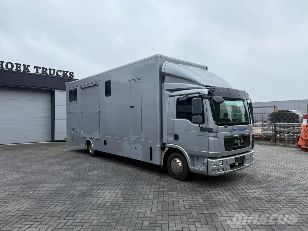 MAN | Horse Truck | Year: 2011 | KM: 312.257 | 5 Horse Tiertransporter