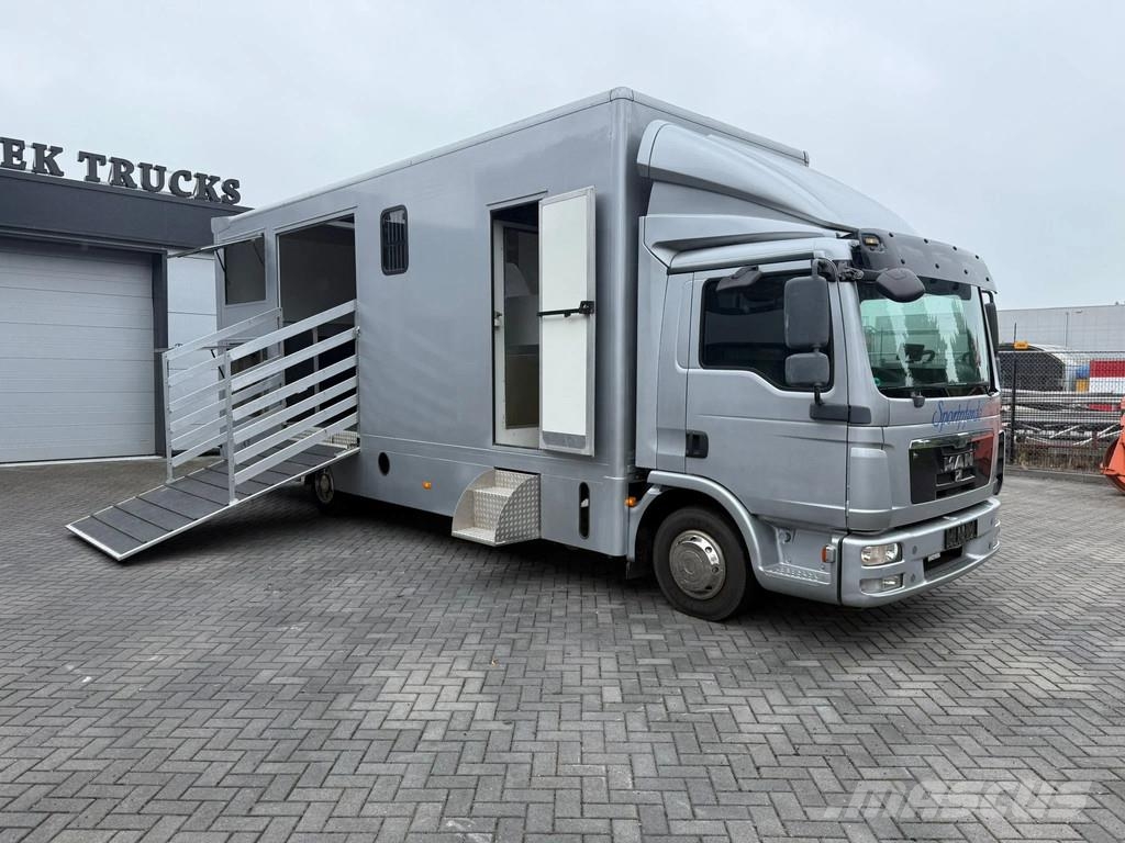 MAN | Horse Truck | Year: 2011 | KM: 312.257 | 5 Horse Tiertransporter